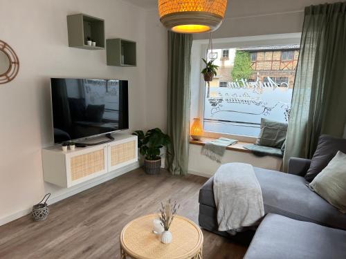 ein Wohnzimmer mit einem Sofa, einem TV und einem Fenster in der Unterkunft Apartment Altstadtflair in Bad Neuenahr-Ahrweiler