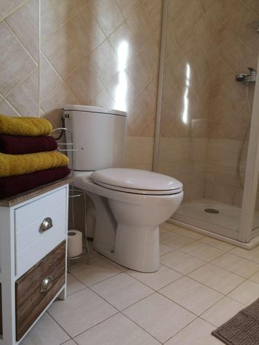 a bathroom with a toilet and a shower at Chez TATA in Régusse