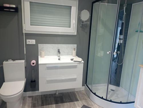 a bathroom with a toilet and a sink and a shower at Loue gîte de campagne 