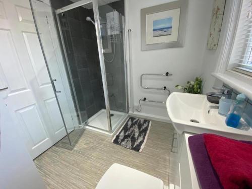 a bathroom with a shower and a sink at Regent Apartment 1 in Blackpool