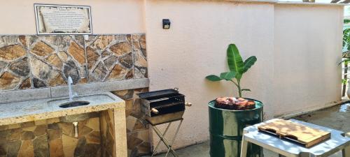 - une cuisine avec un évier et une plante en pot dans l'établissement Pousada Romeiros do Pai Eterno, à Trindade