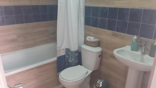 ein Bad mit einem WC und einem Waschbecken in der Unterkunft Cabaña Recreo in Viña del Mar