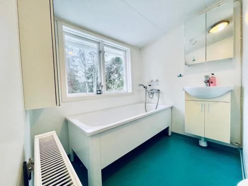 a bathroom with a tub and a sink and a window at Björkholm - Villa in Målilla in Målilla