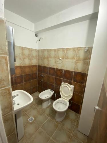 福爾摩沙的住宿－alquiler temporal DIARIO DE IRIGOYEN，一间带卫生间和水槽的浴室