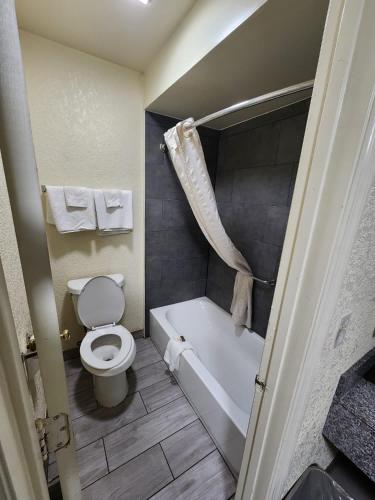 a bathroom with a toilet and a tub and a sink at Green Garden Inn in Greensboro