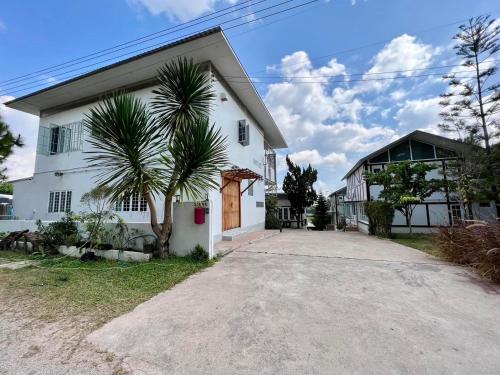 a white house with a palm tree in front of it at The Beaf Home Khaokho in Khao Kho