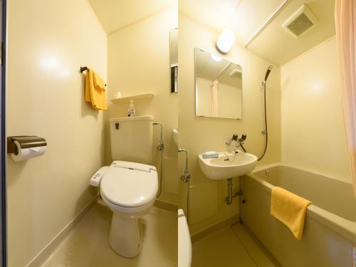 a small bathroom with a toilet and a sink at Business Ryokan Hotel Yukimiso in Toyama