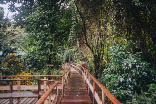 a wooden bridge in a garden with flowers at Jaguar Creek in Good Living Camp