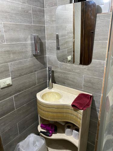 een badkamer met een wastafel en een spiegel bij Bonito departamento y Terrazas in Cholula