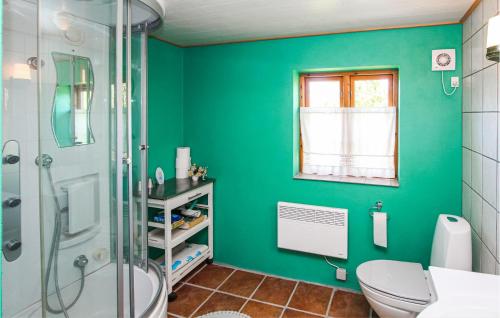 een groene badkamer met een toilet en een douche bij 2 Bedroom Nice Home In Sams in Kolby Kås