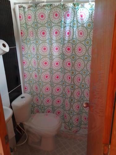 y baño con aseo y cortina de ducha. en Acogedoras - Cabañas Villa Paty, en Santa Rosa de Cabal