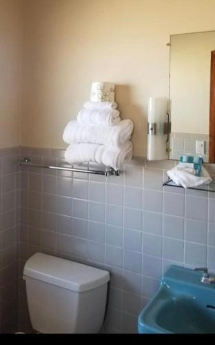 a bathroom with a stack of towels on a shelf above a toilet at Tri-State Wood Inn in Dickeyville