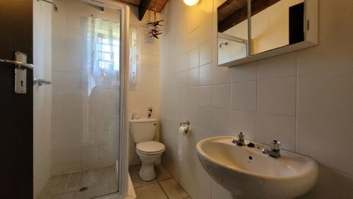 a bathroom with a sink and a toilet and a shower at St Mikes Villa in Margate