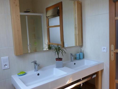 ein Badezimmer mit einem Waschbecken, einem Spiegel und einer Pflanze in der Unterkunft Gîte Deneuille-les-Mines, 4 pièces, 6 personnes - FR-1-489-408 in Deneuille-les-Mines