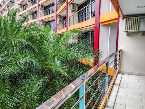 a palm tree in front of a building at MBC Mai Khao Beach Condotel LUXURY APARTMENTs in Phuket