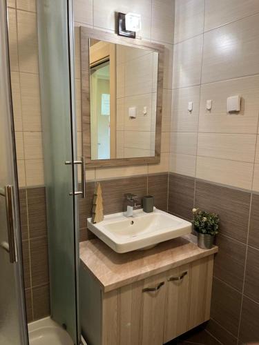 a bathroom with a sink and a mirror at Apartman ML in Raška