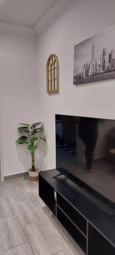 a living room with a tv and a potted plant at Overnight stay. Self-catering. in Klerksdorp