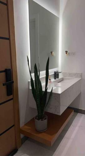 a bathroom with a sink and a potted plant at Smart Entry Apartment in Riyadh