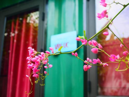 a branch of pink flowers in front of a store at Cửa Biển Homestay in Hai Phong
