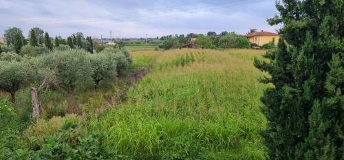 Φωτογραφία από το άλμπουμ του Fattoria Il Giardo σε Pietrasanta