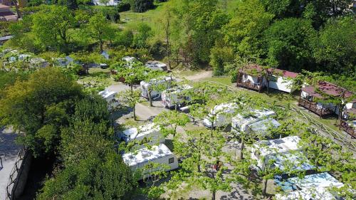 Elle offre une vue sur un jardin planté d'arbres et de plantes. dans l'établissement Campeggio Pian Dei Boschi, à Pietra Ligure