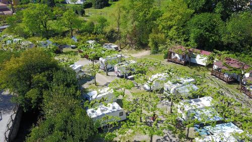 een uitzicht over de tuin met bomen en planten bij Campeggio Pian Dei Boschi in Pietra Ligure