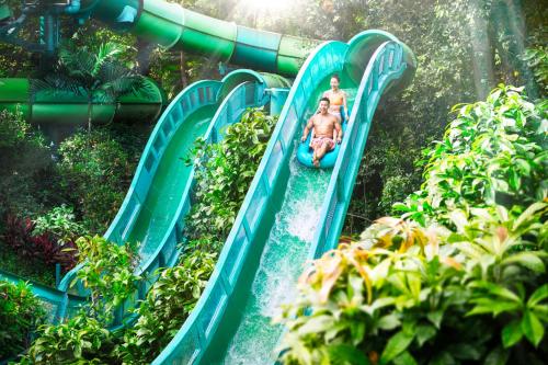 a group of people riding down a water slide at Resorts World Sentosa - Hotel Michael in Singapore