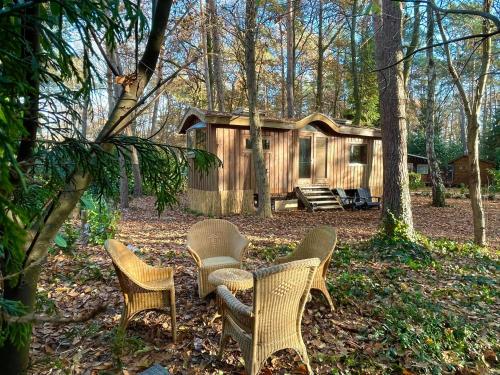 eine Gruppe Stühle und eine Hütte im Wald in der Unterkunft Pipowagen de Kat in de Hoge Kempen nabij Maastricht in Lanaken