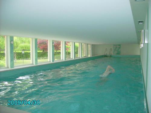 a person swimming in a swimming pool at Ferienwohnung Eichenseher in Bodensdorf