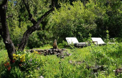 two white chairs and a tree in a field at Tiny House Vogelnest in Puntagorda