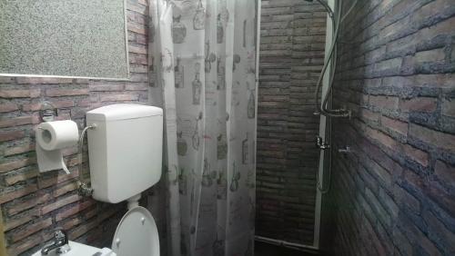 a bathroom with a toilet and a shower curtain at SOBA ROYAL 5 in Šabac