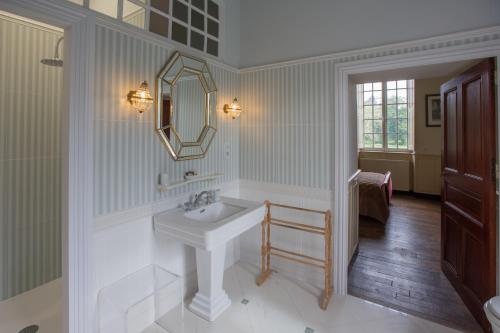 een badkamer met een wastafel en een spiegel bij Le Logis d'Equilly in Équilly