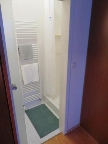 Elle comprend une petite salle de bains pourvue d'une douche et d'un tapis vert. dans l'établissement Peony, à Rogaška Slatina