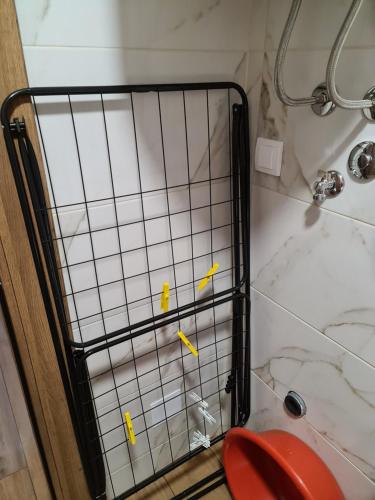 a bathroom with a shower with a toilet in it at Apartmani Gavric Borovi 2 in Divčibare