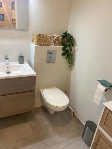 une salle de bain avec toilettes et lavabo dans l'établissement La Beau'M Juan Les Pins centre ville 200m de la mer terrasse et jardin, à Juan-les-Pins