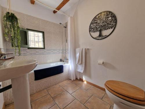 a bathroom with a toilet and a sink and a shower at Casa Rincon a detached two bed cottage in Lubrín