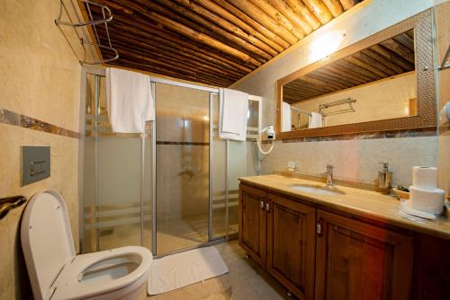 a bathroom with a shower and a toilet and a sink at Upper Greek House in Mustafapaşa