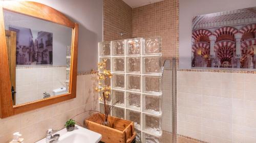a bathroom with a sink and a shower with a mirror at Alojamiento Rural El Salto Villafranca de Córdoba by Ruralidays in Córdoba