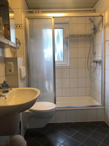 a bathroom with a shower and a toilet and a sink at Ferienwohnung Mia in Brüggen