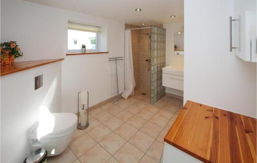een badkamer met een toilet, een wastafel en een douche bij Beautiful Apartment In Sams With Wifi in Ballen