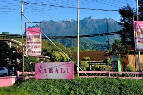 ロッジから撮影された、または一般的な山の景色