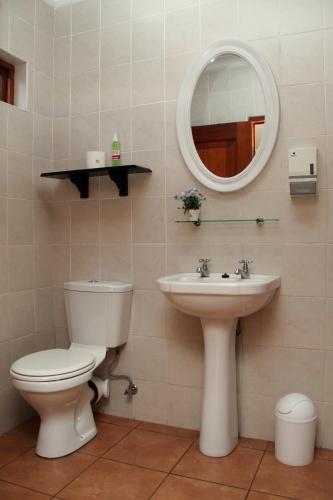 a bathroom with a toilet and a sink and a mirror at Del Roza Guest House in Middelburg