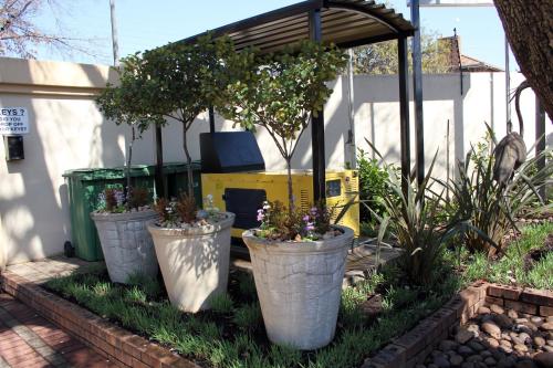 three large cement pots with plants in them in a garden at Del Roza Guest House in Middelburg