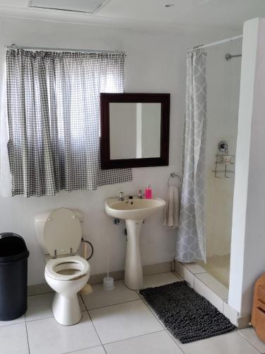 uma casa de banho com um WC, um lavatório e um chuveiro em Outside room em Pretoria