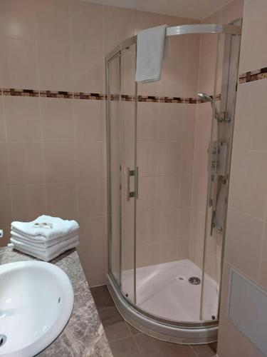 une salle de bain avec douche et lavabo dans l'établissement Le VI, à Colmar