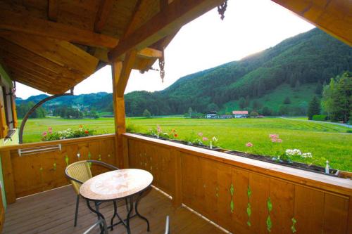 Příroda nedaleko apartmánu