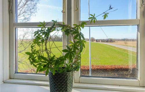 a plant in a vase sitting in a window at Awesome Apartment In Rønne With 1 Bedroom And Wifi in Rønne