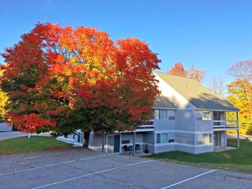 uma casa com uma árvore em frente em Killington Center Inn & Suites by Killington VR - 1 Bedrooms em Killington