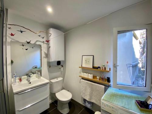 une salle de bain avec toilettes, lavabo et miroir dans l'établissement Medieval Avignon, calm, stunning & spacious 60m2, à Avignon