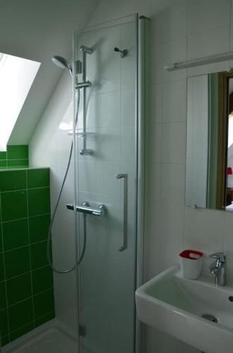 une salle de bain avec une douche en verre et un lavabo dans l'établissement Le Tertre de la Nouette, à La Bosse-de-Bretagne